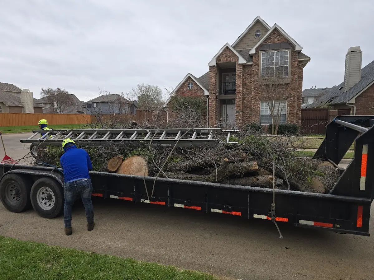 Expert Tree Pest Control with proper safety equipment in Medicine Lake